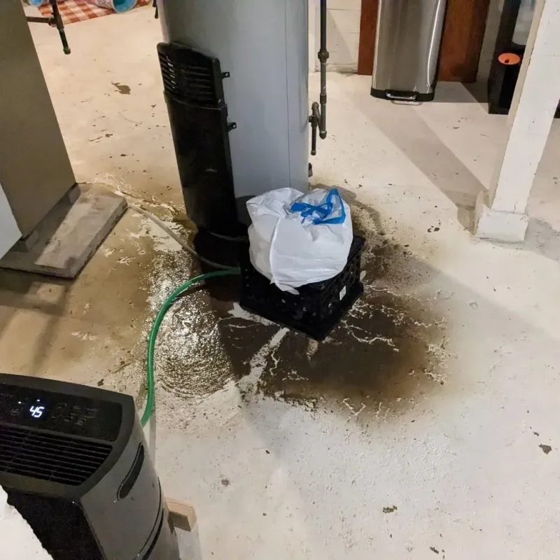 Sewage Backup Cleanup Service in Benson, AZ